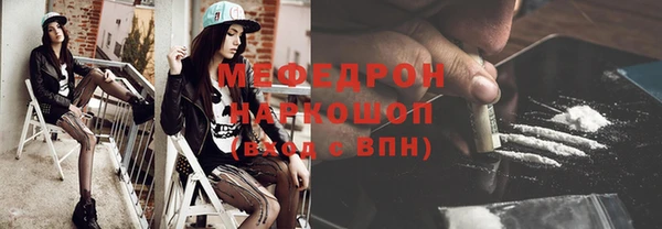 шишки Верея