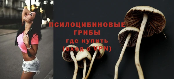 бошки Верхний Тагил