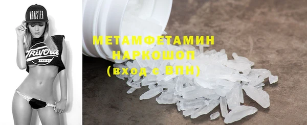 шишки Верея