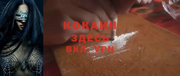 шишки Верея
