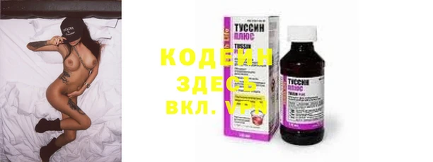ГАЛЛЮЦИНОГЕННЫЕ ГРИБЫ Бородино