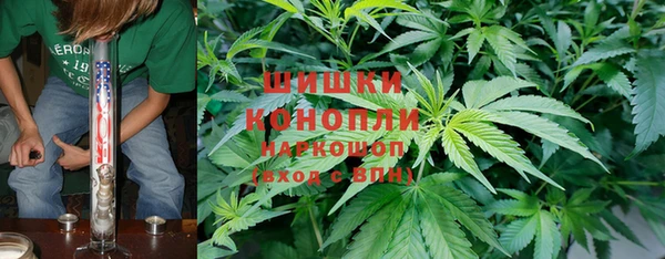 бошки Верхний Тагил