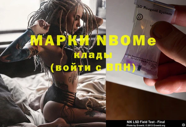 ГАЛЛЮЦИНОГЕННЫЕ ГРИБЫ Бородино