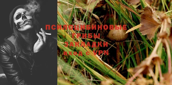шишки Верея